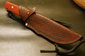 DADO2494