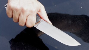 Mr. G Knives Combo